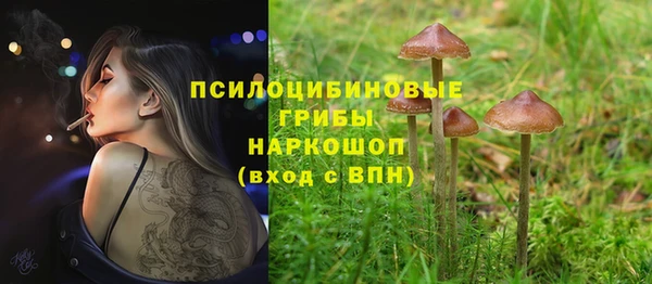 стаф Абаза