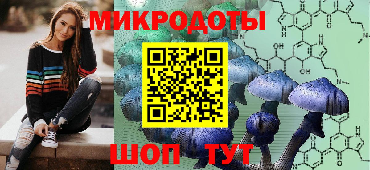 Галлюциногенные грибы Psilocybine cubensis Анапа