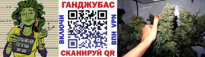 как найти наркотики  Анапа  Конопля планчик 